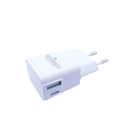 Usb & Usb-c Wall Charger Whitiphone & Android 2.4a
