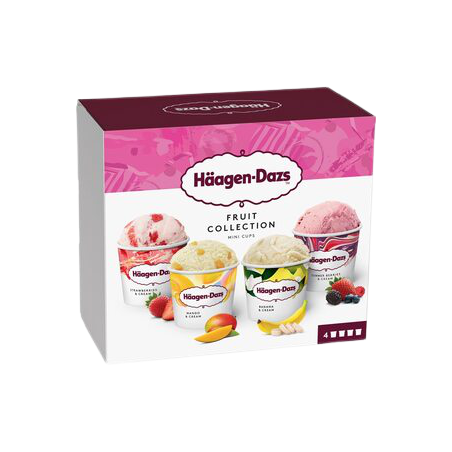 Haagen Dazs Fruit Collection Minicups 4x100ml