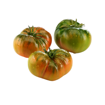 Tomate Raf Kilo